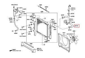 خرطوم ماء الرديتر