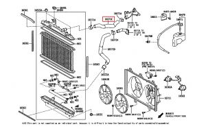 خرطوم ماء الرديتر
