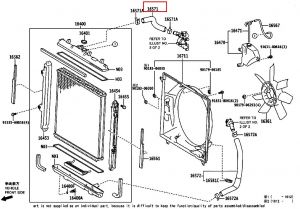 خرطوم ماء الرديتر