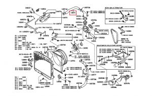 خرطوم ماء الرديتر