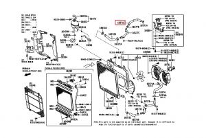 خرطوم ماء الرديتر