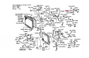 خرطوم ماء الرديتر