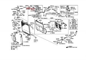 خرطوم ماء الرديتر
