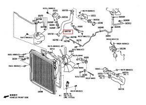 خرطوم ماء الرديتر