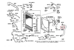 خرطوم ماء الرديتر