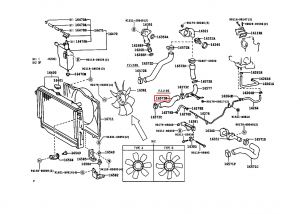 خرطوم ماء الرديتر