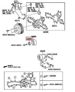 وردة بكرة سير