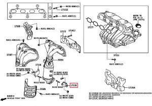 مثبت الاقزوز رقم 2