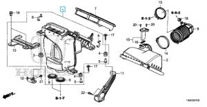 قربة الهواء كاملة