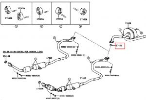 وجة ماصورة الشكمان
