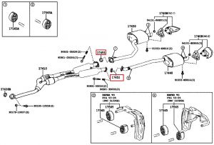 وجة ماصورة الشكمان