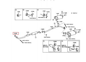 وجة ماصورة الشكمان