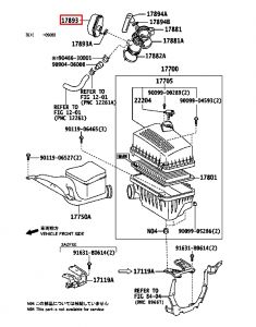 قربة هواء سفلية