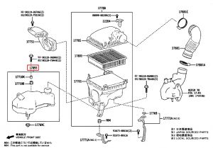 قربة هواء سفلية