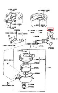 قربة هواء سفلية
