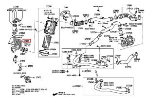 قربة هواء سفلية