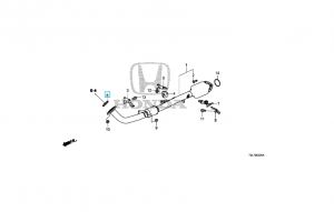 وجة ماصورة الشكمان