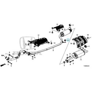 ربلة حمالة الشكمان