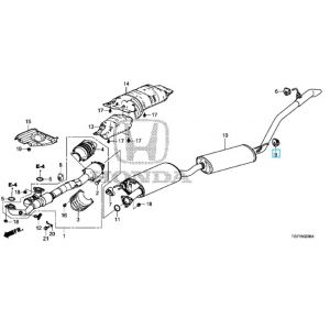ربلة حمالة الشكمان