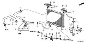 خرطوم ماء القربة