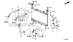 توصيلة ماء القربة