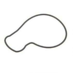 وجه مضخة الماء