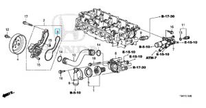 وجه مضخة الماء