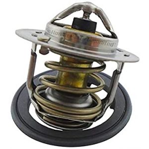 ثيرموستات (بلف حرارة) (FUJI THOMSON)