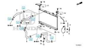 كلبس خرطوم الماء  (TOPY FASTENERS) (36.5 ملم)