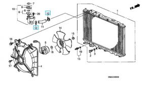كلبس خرطوم الماء