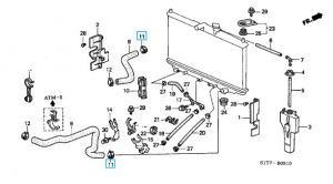 كلبس خرطوم (36.5 ملم) (CHUO SPRING)