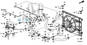 كلبس خرطوم الماء (CHUO SPRING)
