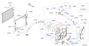 خرطوم ماء الرديتر سفلي
