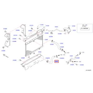 خرطوم ماء الرديتر سفلي