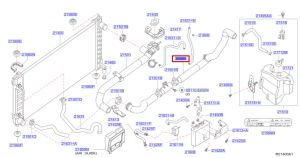 خرطوم ماء الرديتر سفلي