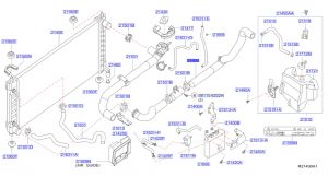 خرطوم ماء الرديتر سفلي