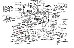 بلف قاطع الوقود