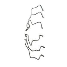 ماصورة بخاخات رقم 5