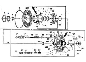 صوفة بطيخة جيربوكس