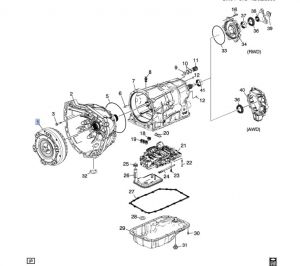 بطيخة جيربوكس