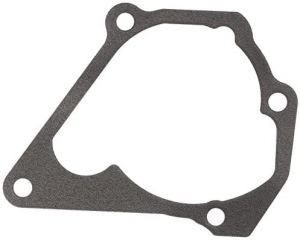 وجه مضخة الماء