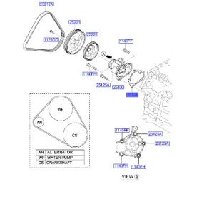 وجه مضخة الماء