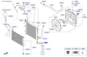 ربلة قاعدة رديتر