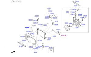 خرطوم رديتر ماء سفلي