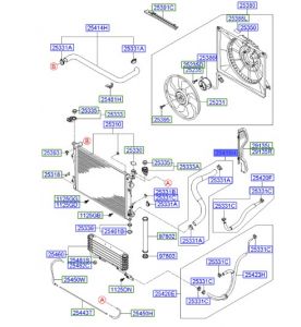 خرطوم رديتر ماء سفلي