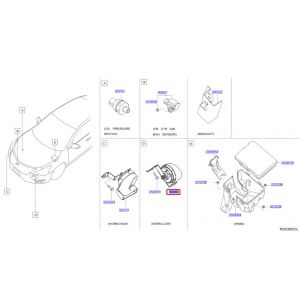 بوري منخفض النغمة