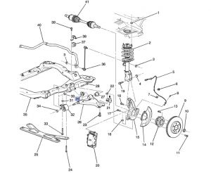 جلدة مقص أمامي سفلي خلفية