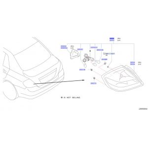 اسطب خلفي يمين