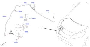 قربة ماء المساحات