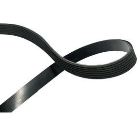 سير الدينمو (MITSUBOSHI)